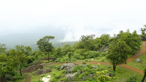 Dalma Hills Jamshedpur, Jharkhand