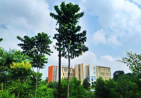 National Law University Kanke, Ranchi, Jharkhand