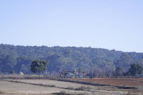 Small Village in Latehar Forest
