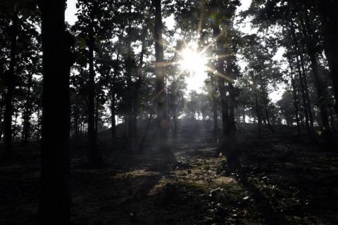 Barkagaon forest Hazaribagh, Jharkhand