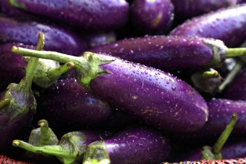 Close-up view group of fresh Brinjal