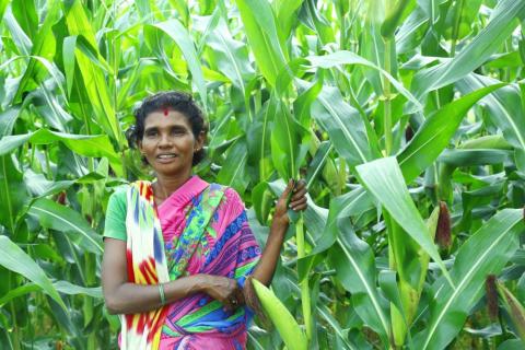 A woman showing corn cultivation