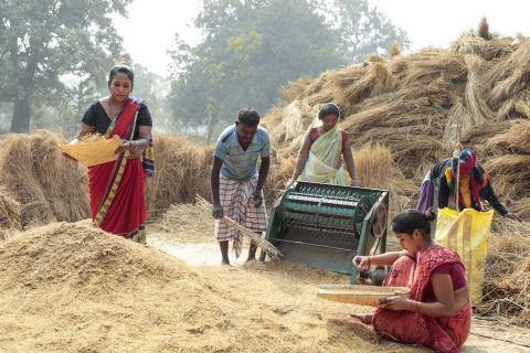 indian village farmer
