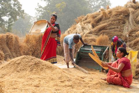 Woman working in village