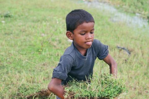 Kids playing in Jharkhand