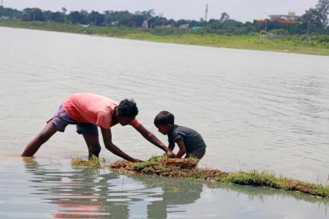 Trying to catch fish