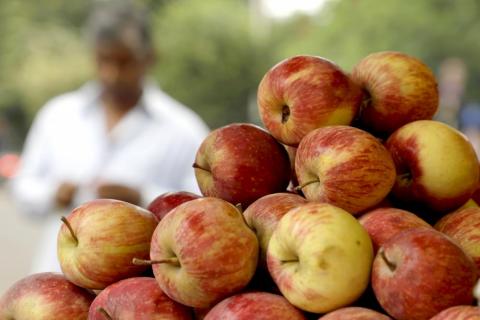 Stack of apple