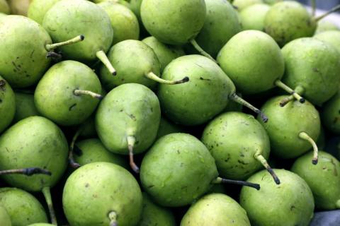 Stack of green fruit