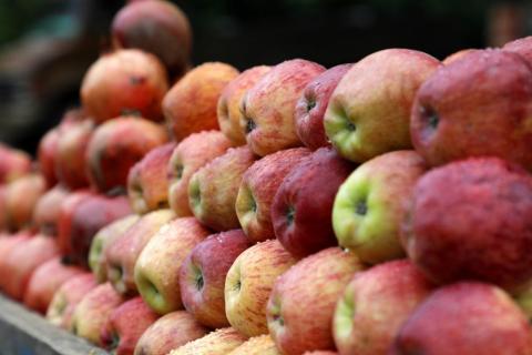 Stack of apple