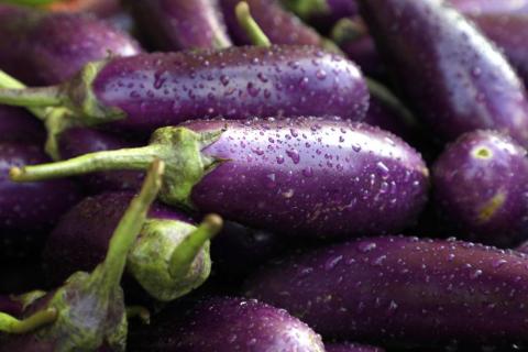 Close-up view group of fresh Brinjal