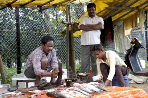 Fisherman cutting fish at the roadside