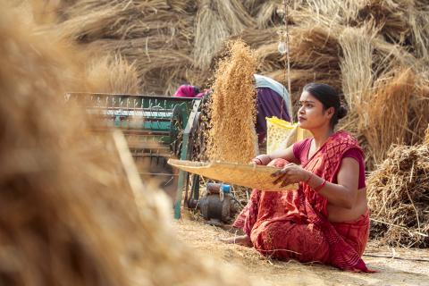 indian village farmer