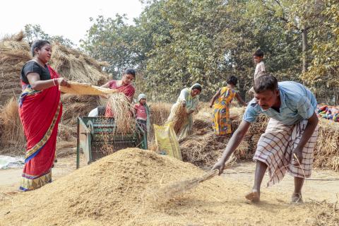 indian village farmer