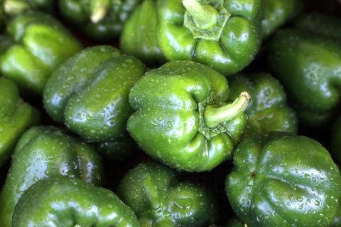 Fresh Green Capsicum