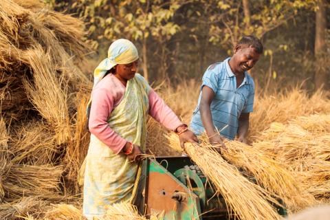 Tribal couple working in village