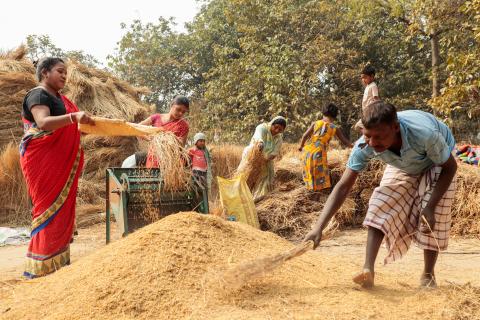 Woman working in village