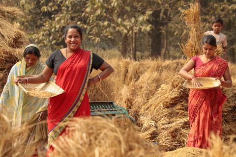 Woman working in village