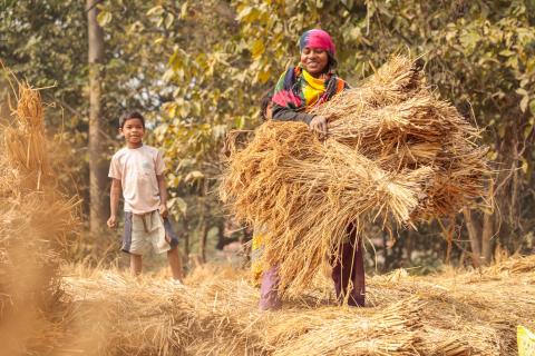 Woman working in village