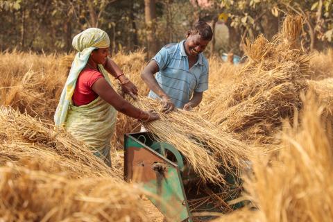 Couple working in village farm