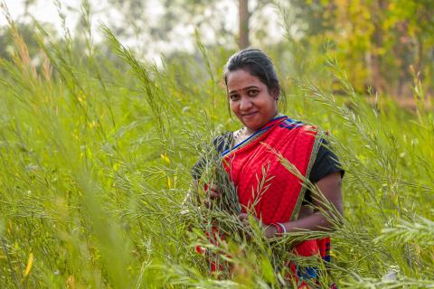 Woman working in village