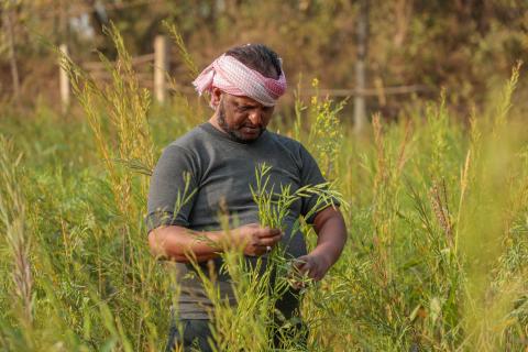 Man standing in field