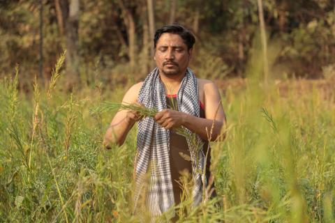 Man standing in field