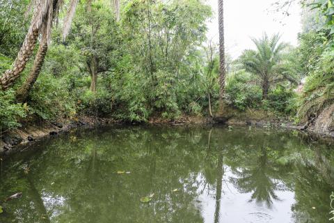 Landscape