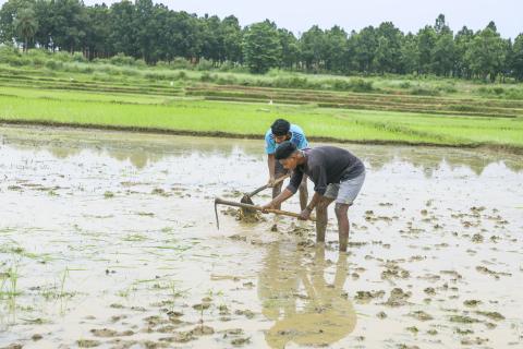 Farming