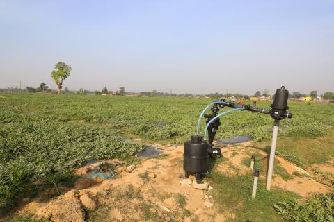 Farming