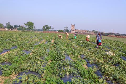 Farming