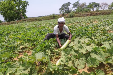 Farming