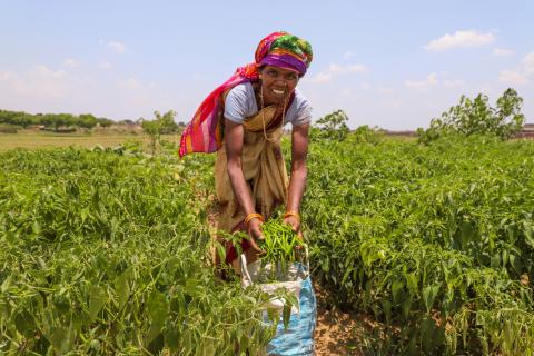 Farming