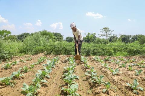 Farming